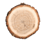 Ahşap ve Kapı Boyaları