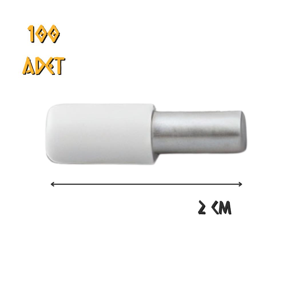 Koral Plastik Başlı Metal Raf Pimi Beyaz - 100 Adet