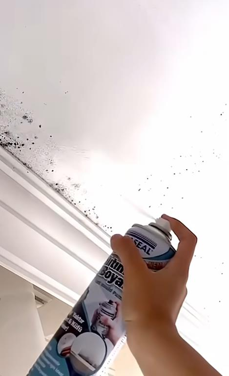 Vodaseal Nem Küf Yalıtım Sprey Boyası Beyaz 500 ml.